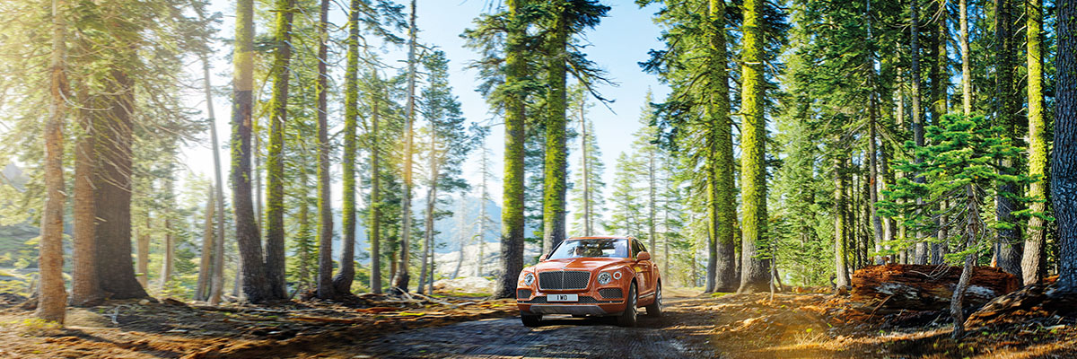 РОССИЙСКАЯ ПРЕМЬЕРА BENTAYGA В «BENTLEY МОСКВА» - изображение 2-1 на luxuryselection.ru!