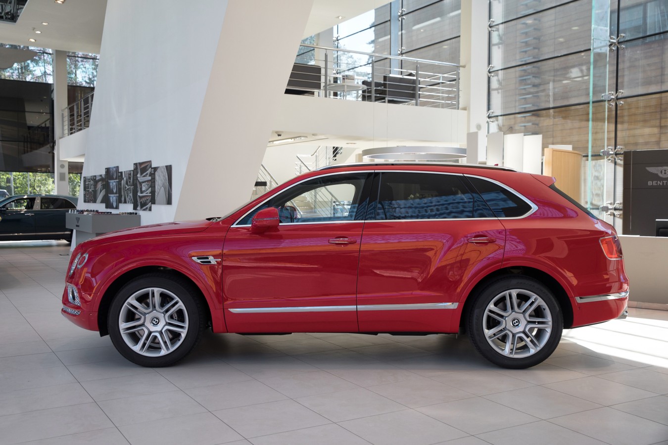 LADY`S COLLECTION SPB - изображение ABC_7225a на luxuryselection.ru!