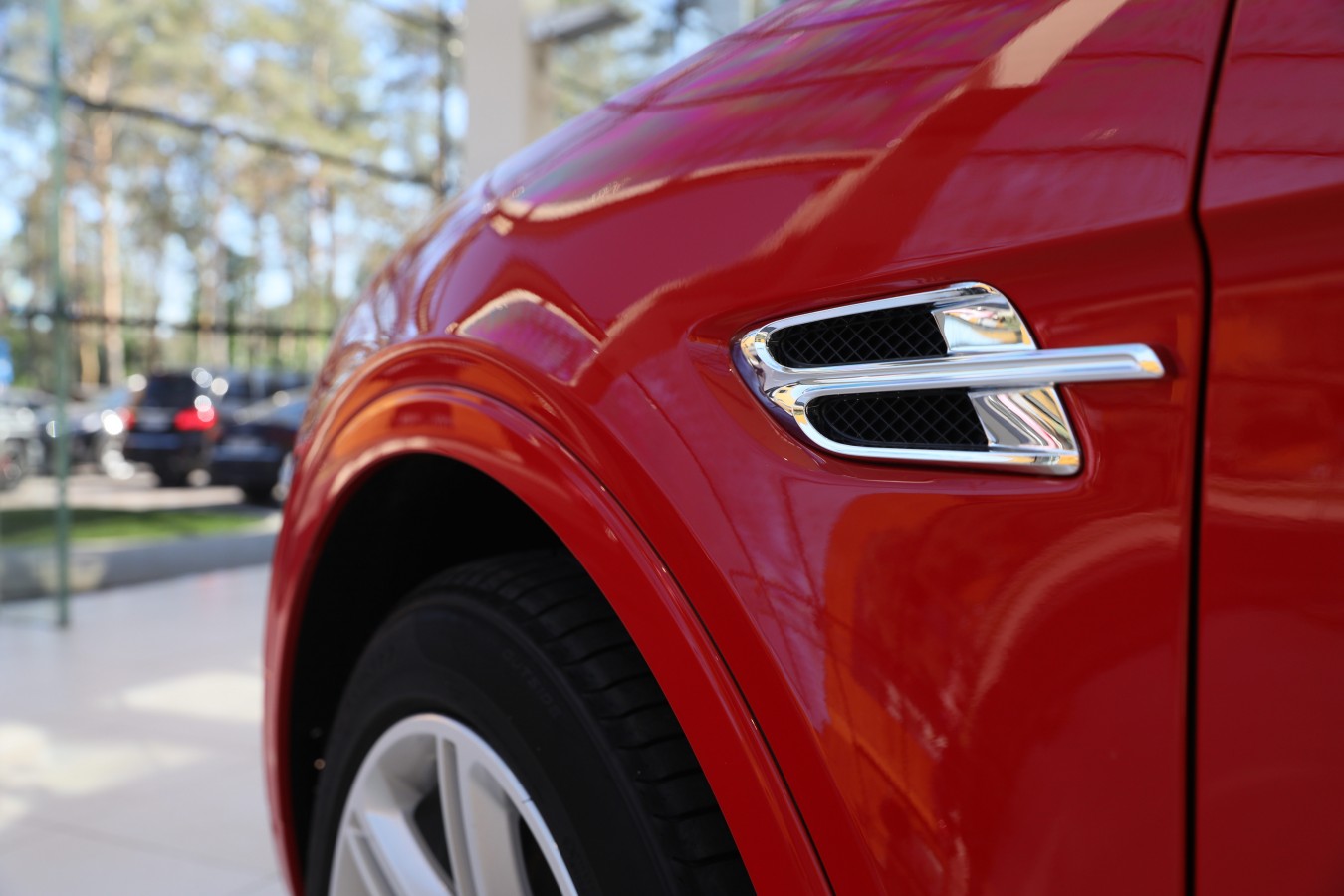 LADY`S COLLECTION SPB - изображение ABC_7243 на luxuryselection.ru!