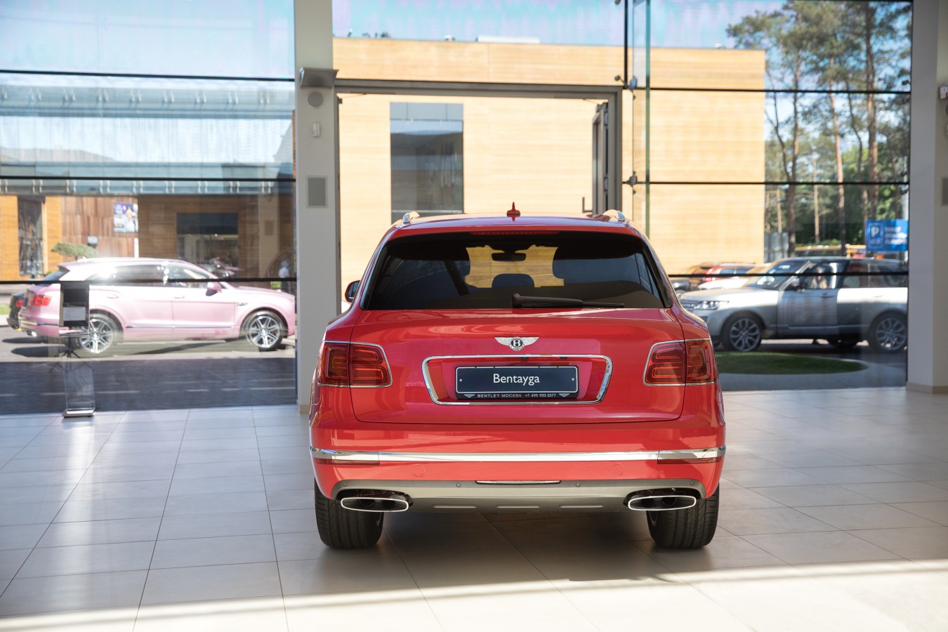 LADY`S COLLECTION SPB - изображение ABC_7338a на luxuryselection.ru!