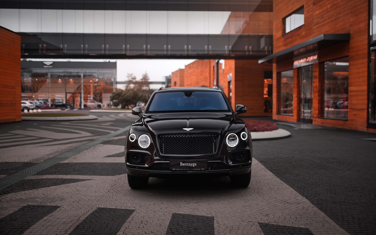 BENTLEY MULLINER COLLECTION - изображение IMG_0136 на luxuryselection.ru!