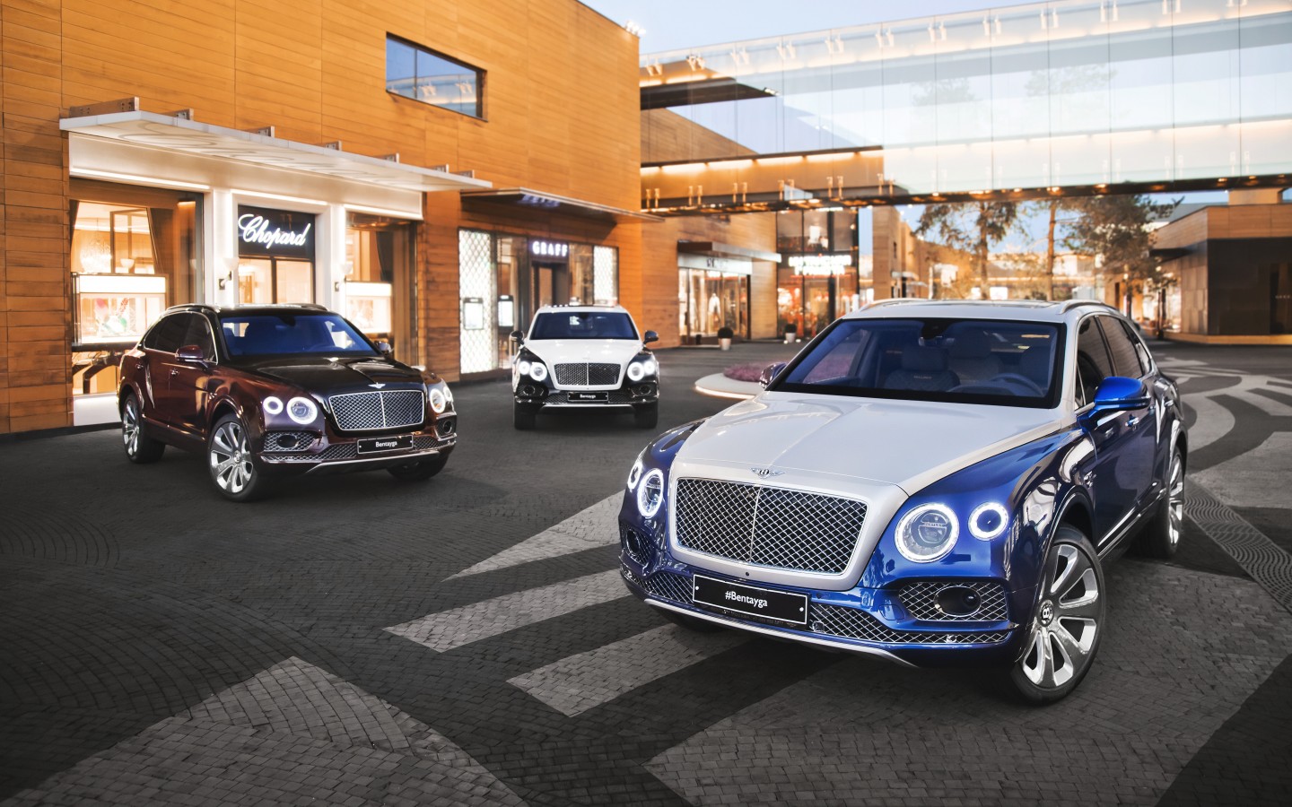 БЕСПЛАТНЫЙ ДИАГНОСТИЧЕСКИЙ ОСМОТР BENTLEY - изображение IMG_0234 на luxuryselection.ru!