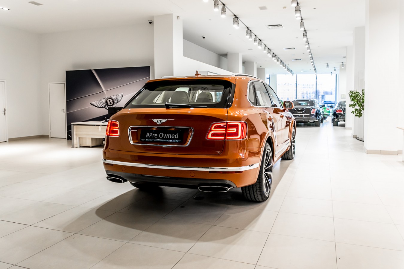 Линейка автомобилей с пробегом в Bentley Cанкт-Петербург - изображение IMG_4294 на luxuryselection.ru!