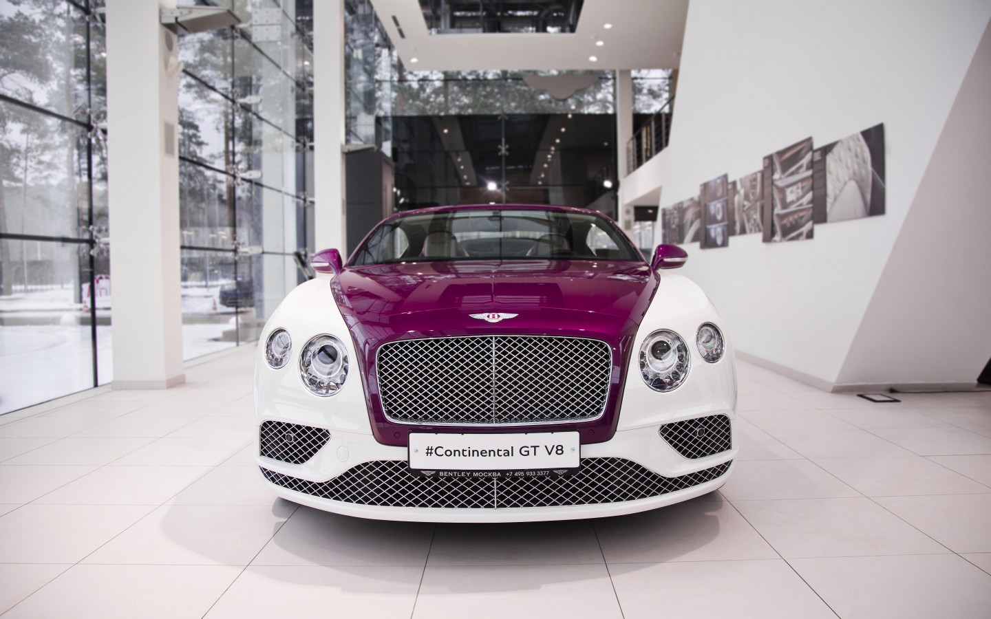 LADY`S COLLECTION SPB - изображение IMG_9515 на luxuryselection.ru!