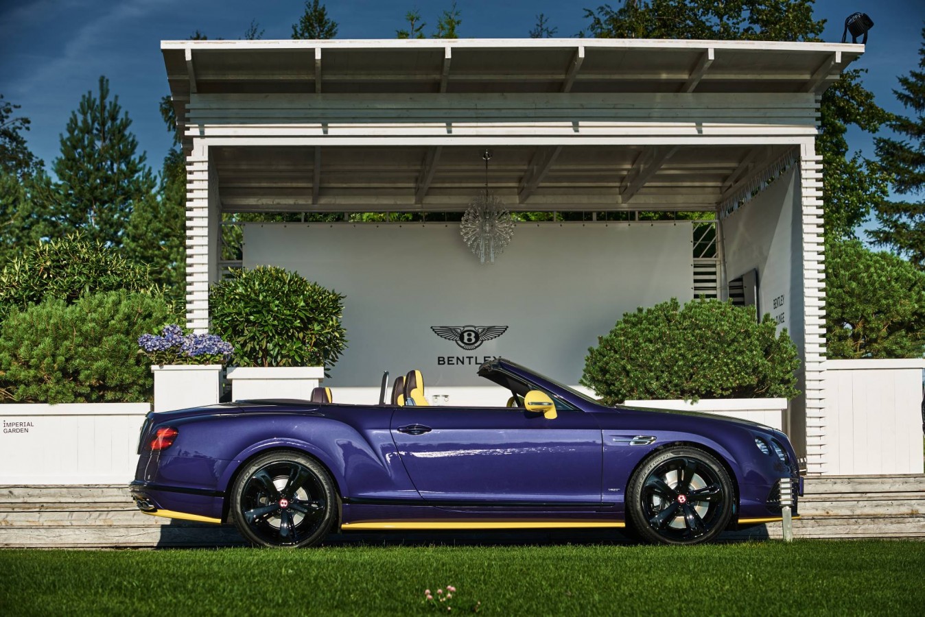 LADY`S COLLECTION SPB - изображение STV_7467 на luxuryselection.ru!